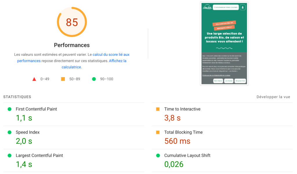 Eau Vive Page Speed Mobile