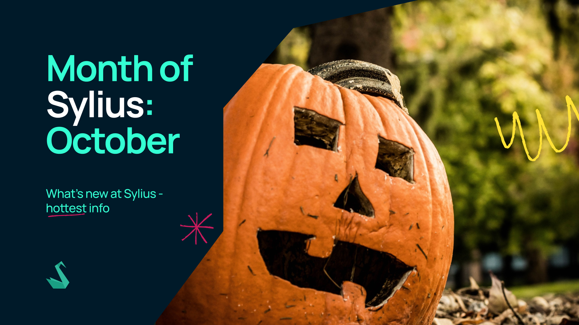 Month of Sylius: October 🎃