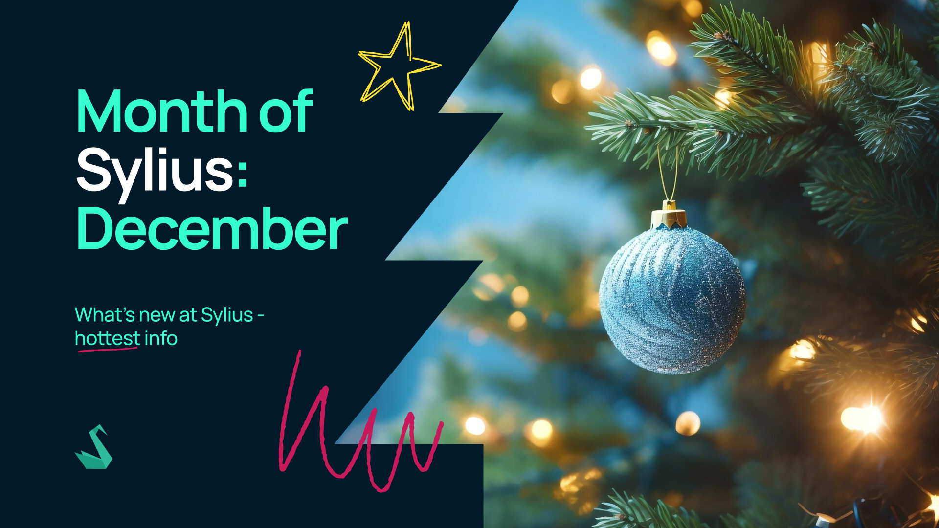 Month of Sylius: December 🎄