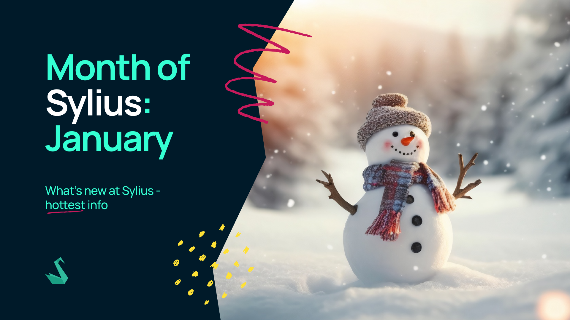 Month of Sylius: January ❄️