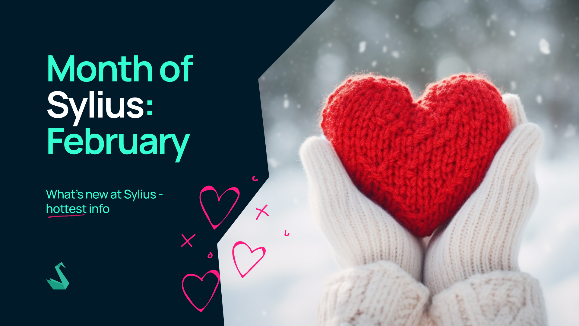 Month of Sylius: February ❤️