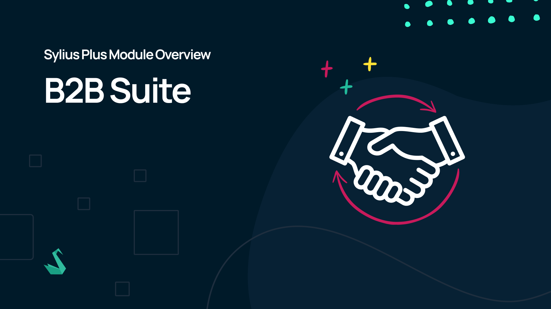 Sylius Plus Module Overview: B2B Suite