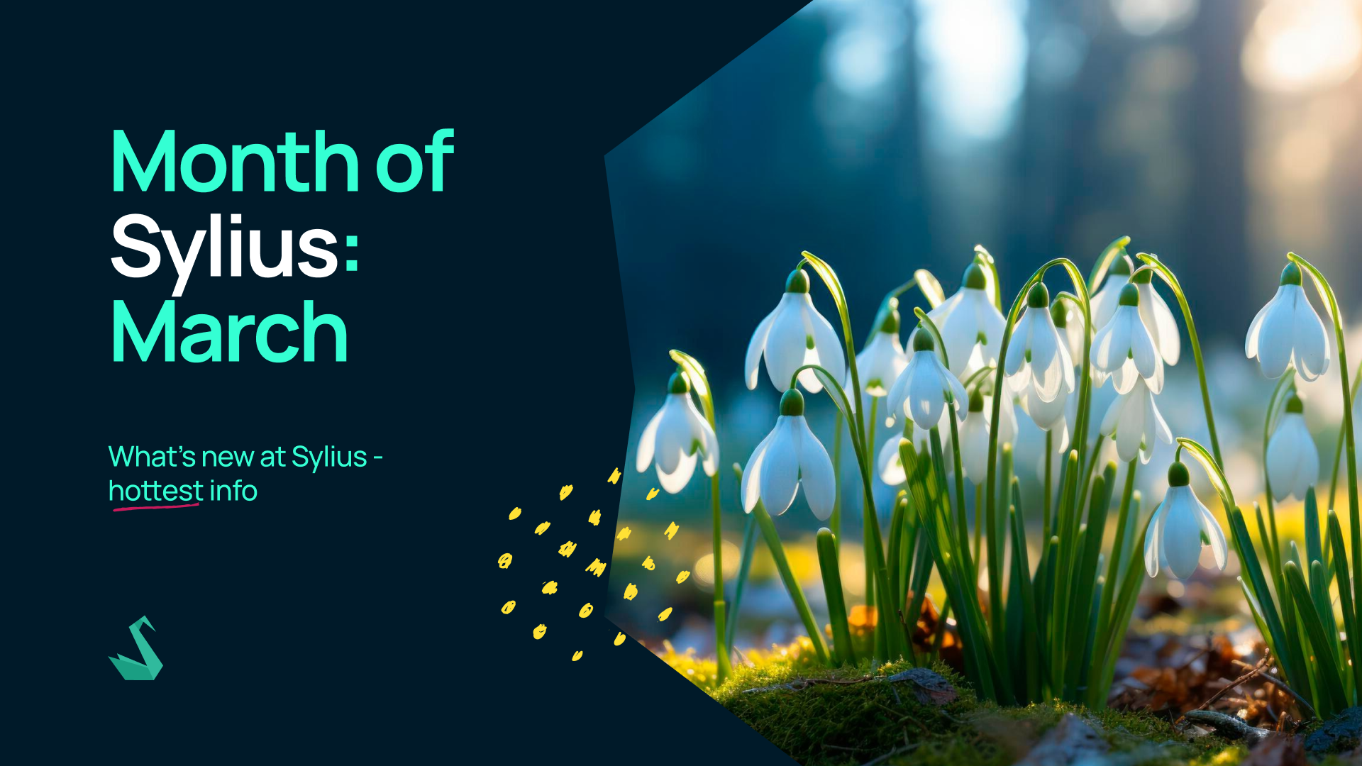 Month of Sylius: March 🌷