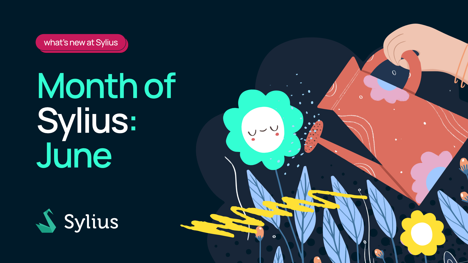 Month of Sylius: June ☀️