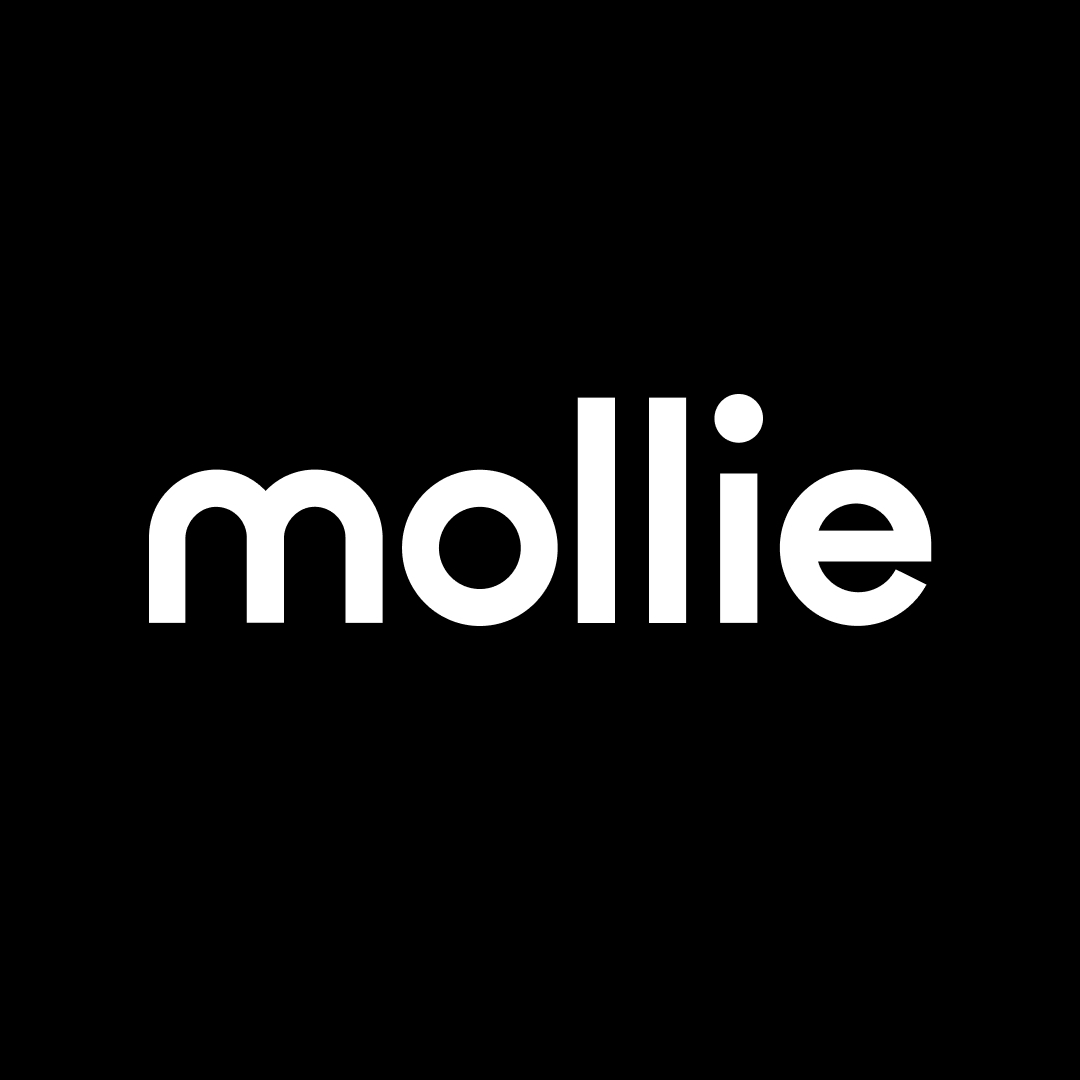 Mollie Developer Meetup 🇳🇱