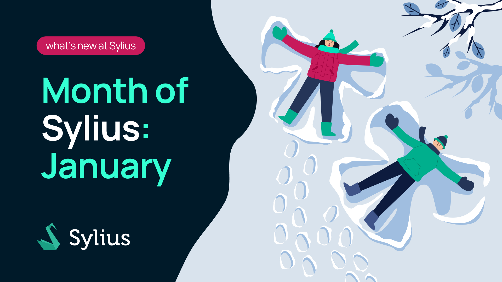Month of Sylius: January ❄️